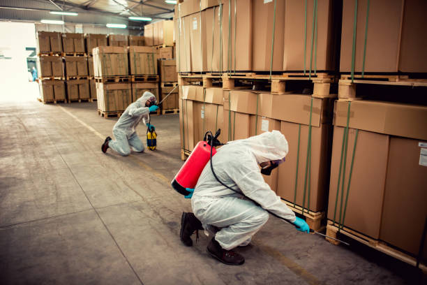 Best Ant Control Services  in Monticello, LA