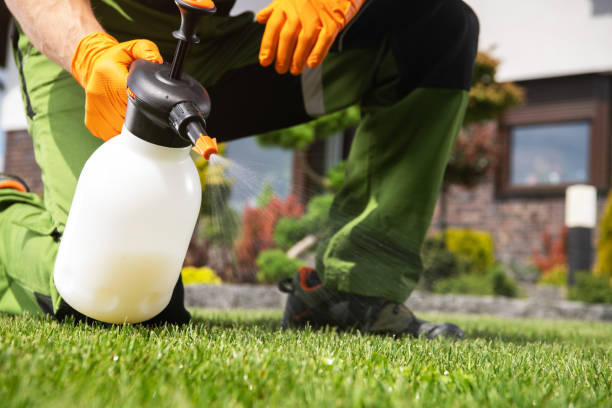 Best Mosquito Control Services  in Monticello, LA