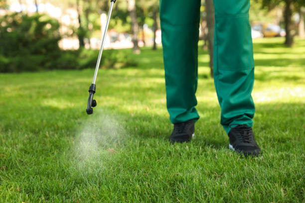 Best Emergency Pest Control  in Monticello, LA