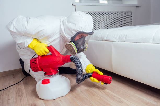 Best Wasp Removal Services  in Monticello, LA