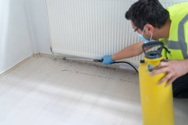 Best Pest Removal Services  in Monticello, LA