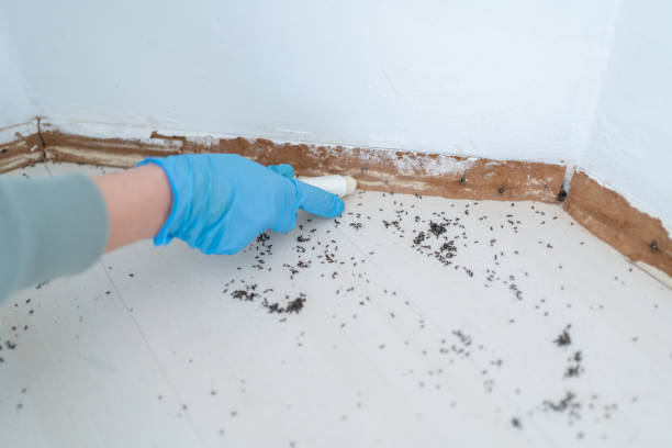 Best Commercial Pest Control Services  in Monticello, LA