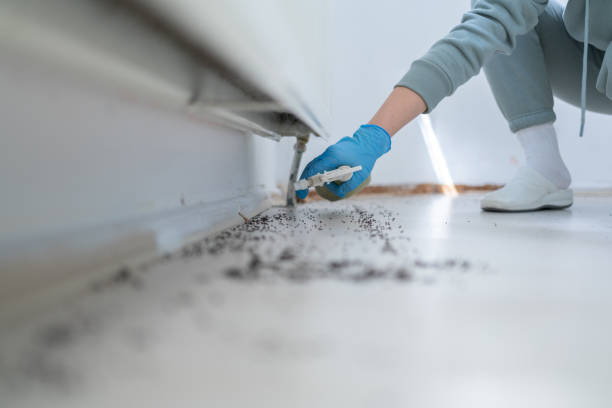 Best Affordable Pest Control Services  in Monticello, LA