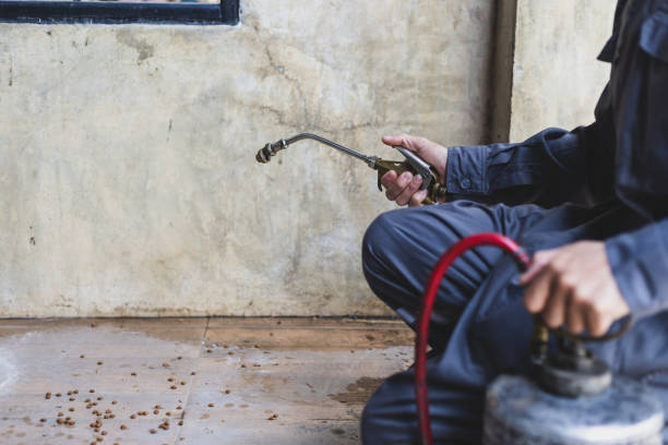 Wasp Removal Services in Monticello, LA